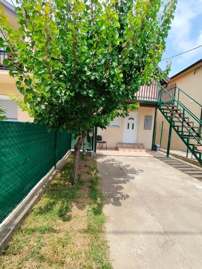 A1 - Airport Belgrade Apartment المظهر الخارجي الصورة